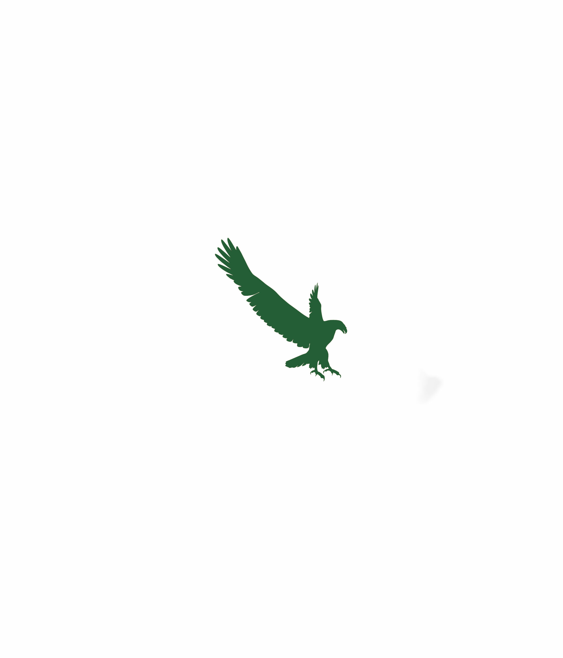thegyrfalcon.com
